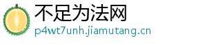 不足为法网